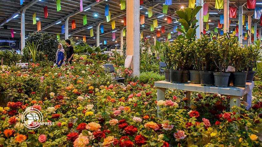 Iranpress: Arak Flower Exhibition; glory of Iranian flowers with export capacity