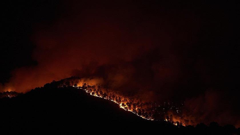 Iranpress: Wildfires engulf parts of Portugal amid unusual heat wave