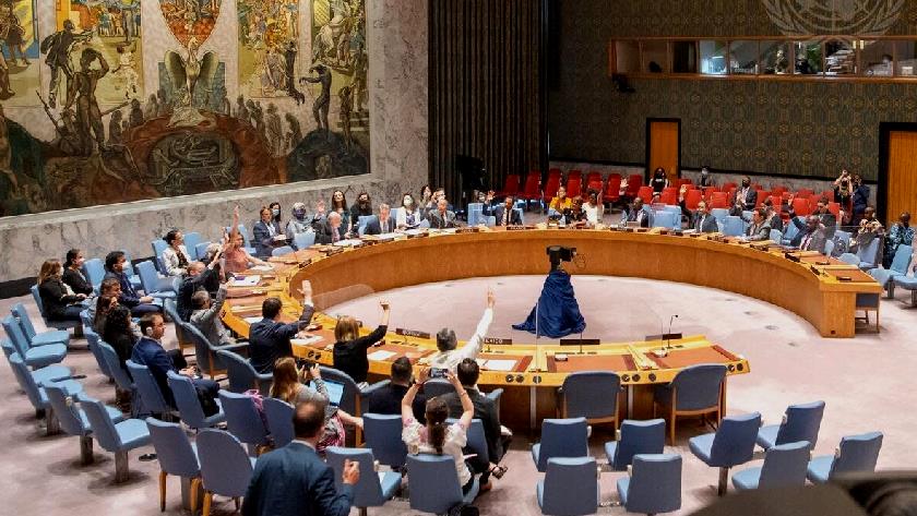 Iranpress: UN Security Council extends mandate of political mission in Haiti