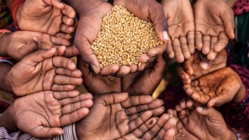 Iranpress: UN urging all efforts around world to help alleviate food crisis