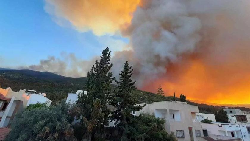 Iranpress: Huge wildfire breaks out near Tunisian capital