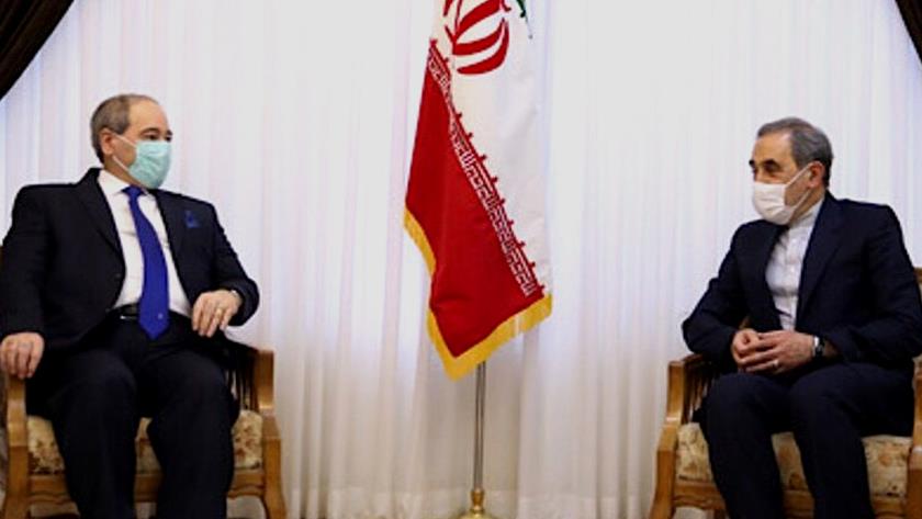 Iranpress: Senior adviser to Leader urges expulsion of US remnants from region