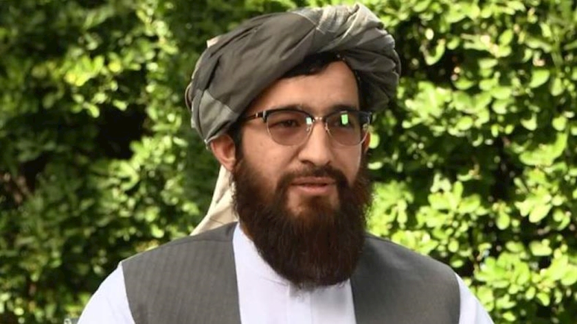 Iranpress: Taliban official says failure of Afghan govt. not in interest of anyone