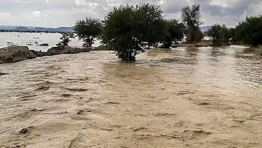 Iranpress: Flash flood sweeps through south eastern Iran