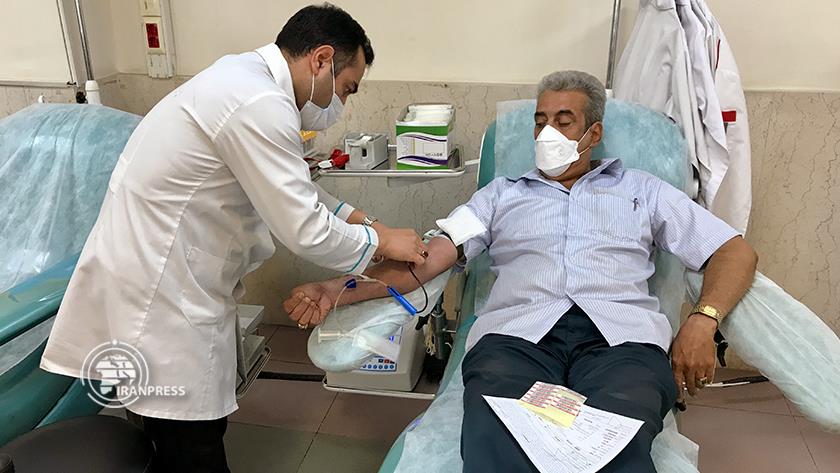 Iranpress: Blood donation; donating life to patients