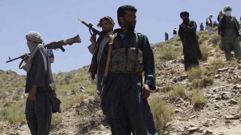Iranpress: Taliban forces clash with Iran