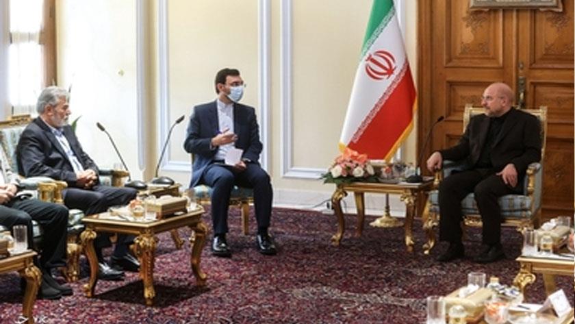 Iranpress: Iran parliament speaker, PIJ Movement official discuss issues of mutual interest
