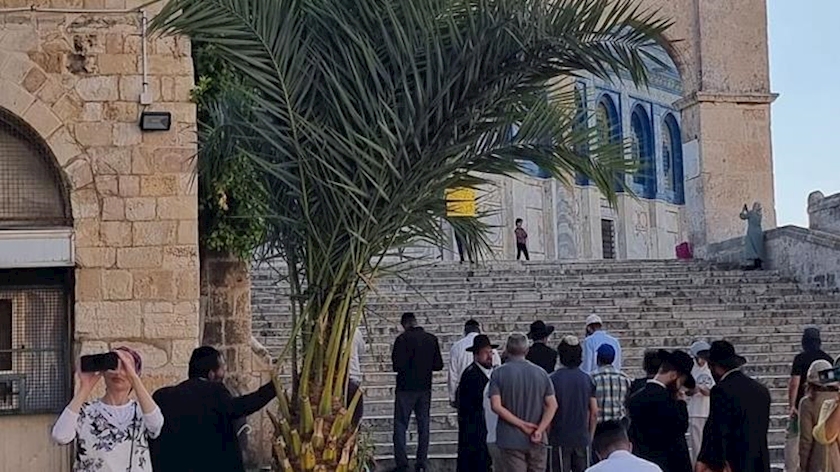 Iranpress: Dozens of Israeli settlers storm Al-Aqsa mosque