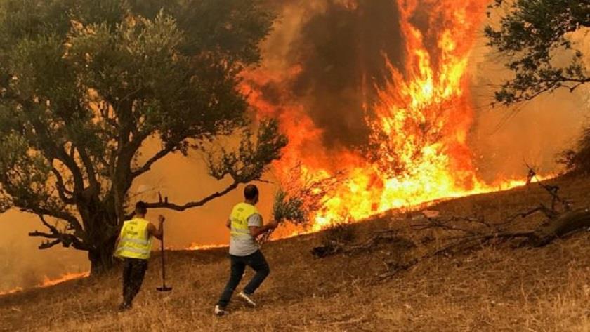 Iranpress: Forest fires in northern Algeria leave at least 26 dead