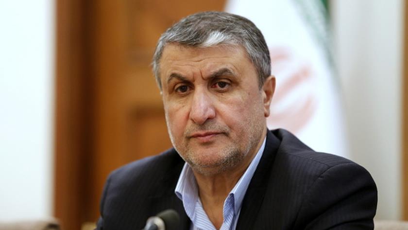 Iranpress: Iran must become nuclear plant developer center: AEOI Head