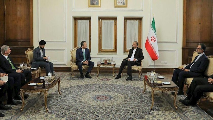 Iranpress: Iranian FM holds a meeting with Brazilian Deputy FM