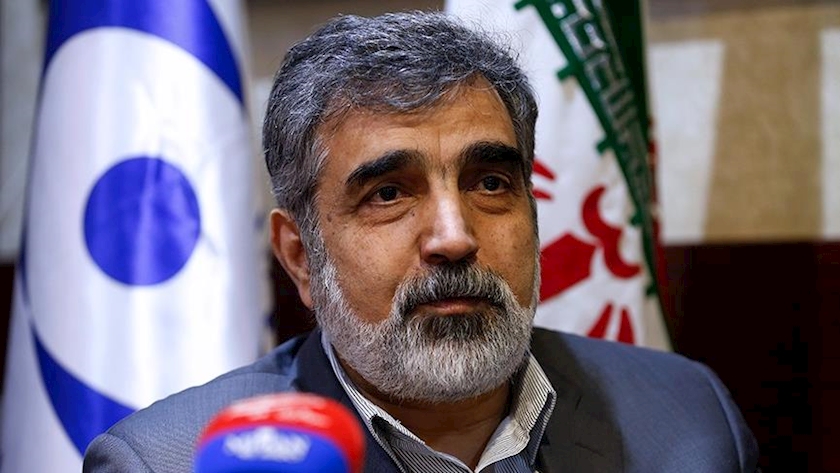 Iranpress: AEOI spox reacts to fresh IAEA report on Iran