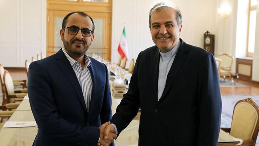 Iranpress: Iranian, Yemeni officials discuss latest developments of ceasefire