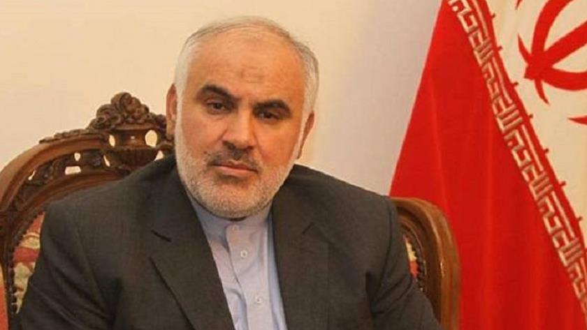 Iranpress: Iranian FM envoy, head of Alavi Shrine discuss cooperation in Iraq