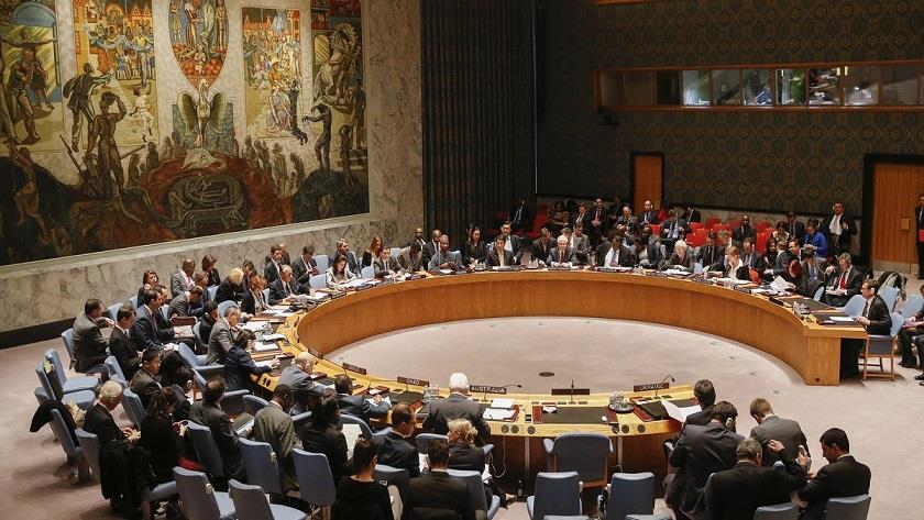 Iranpress: UN Security Council: There is no military solution to crisis in Yemen