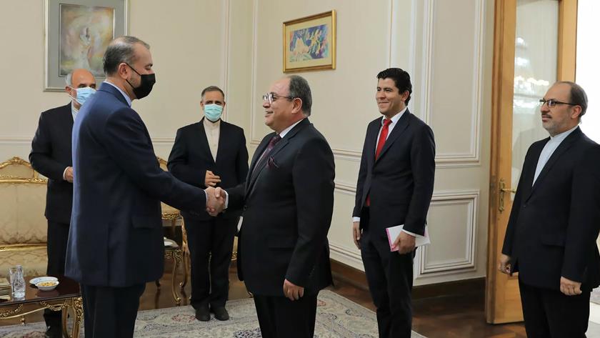Iranpress: No limits to expanding ties with Tunisia: Iran