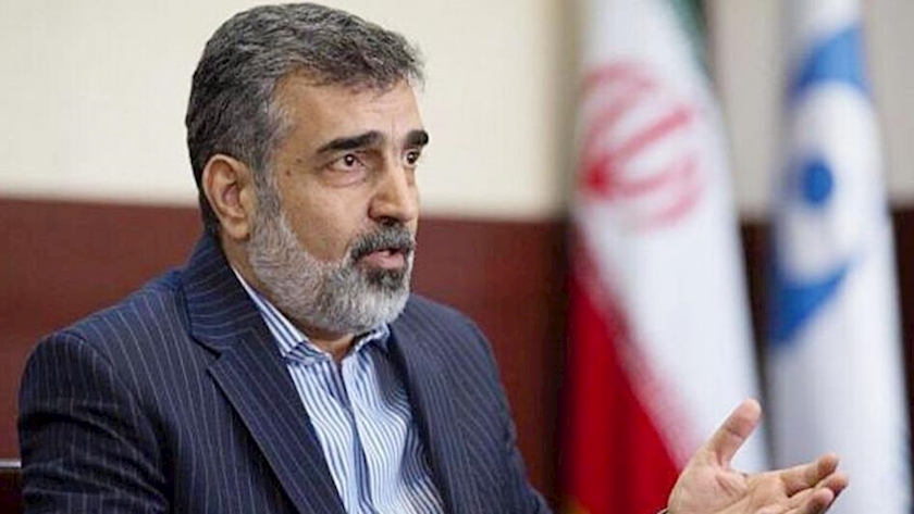 Iranpress: No inspection vacuum in Iran