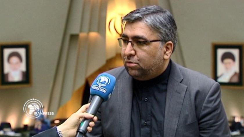 Iranpress: US Iranophobia aimed at creating regional drone network: MP