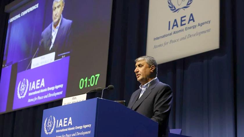 Iranpress: AEOI head: IAEA should be impartial, professional