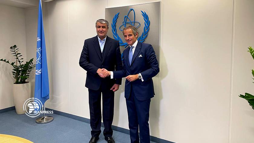 Iranpress: Iran AEOI head meets IAEA cheif in Vienna