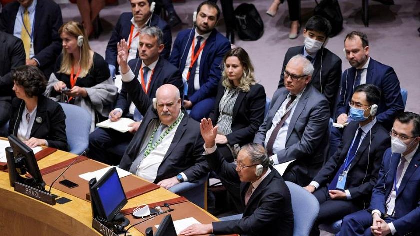 Iranpress: Russia vetoes UNSC resolution on Ukraine; China, India abstain