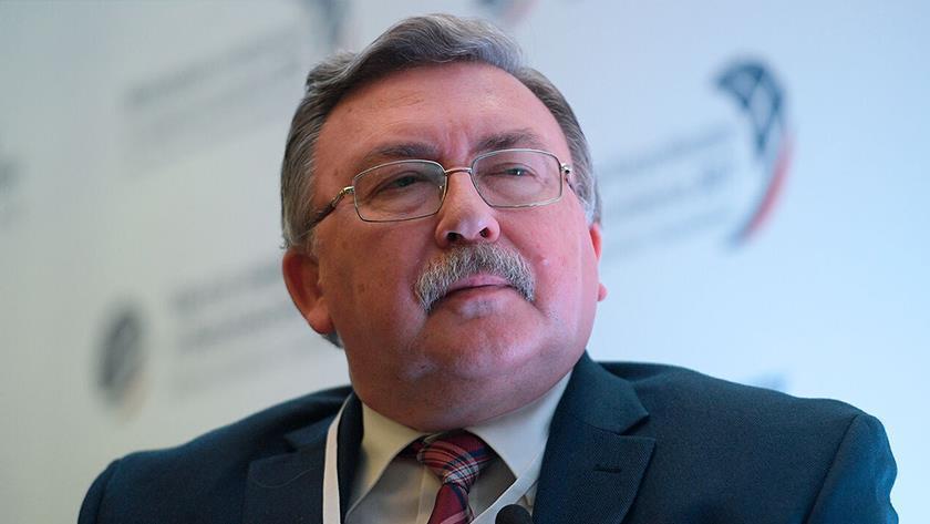 Iranpress: Vienna talks could resume in November: Ulyanov