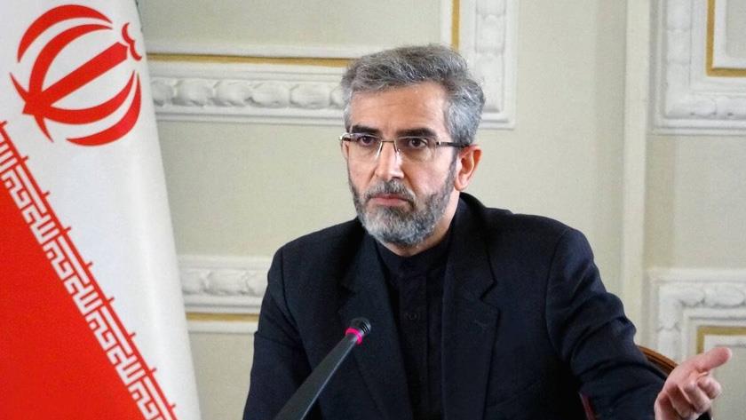 Iranpress: Europeans now realize that sanctions also have price: Bagheri Kani
