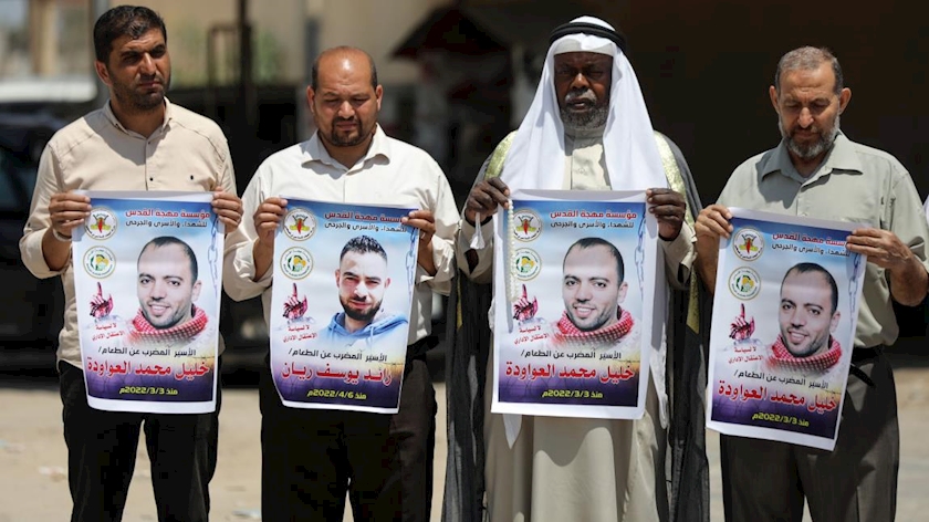 Iranpress: Hunger strike of 30 Palestinian prisoners reaches 13 days