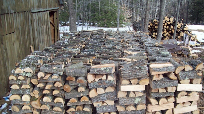 Iranpress: Energy high price has led Germans to steal firewood