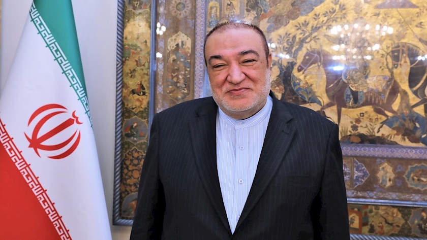 Iranpress: Iran to turn into regional gas hub: Deputy FM