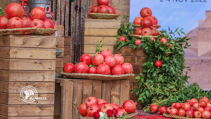 Iranpress: Pomegranate festival in Iran