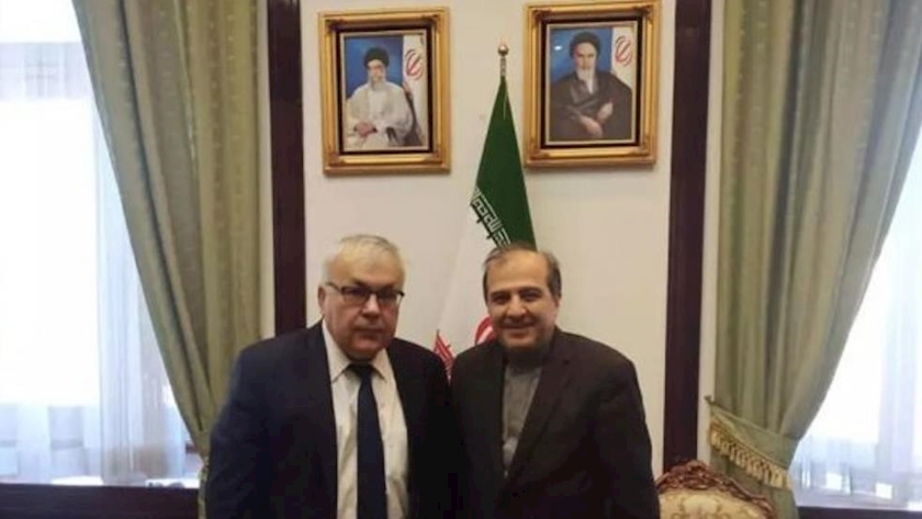 Iranpress: Iran FM assistant, Russian Deputy FM discuss regional issues