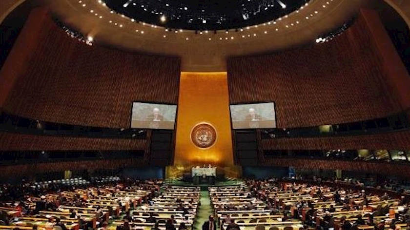 Iranpress: UN passes resolution in support of Palestine