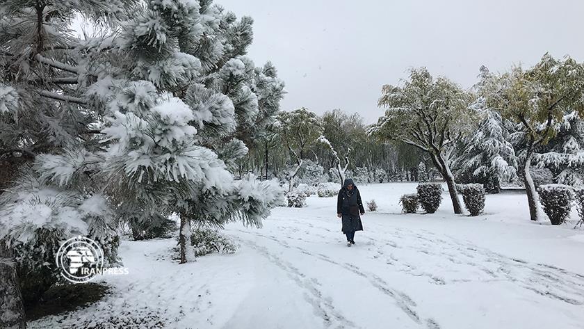 Iranpress: Karaj sees beautiful autumn snow fall in early December! 