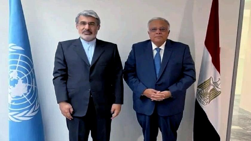Iranpress: Iran, Egypt envoys mull over issues of mutual interest
