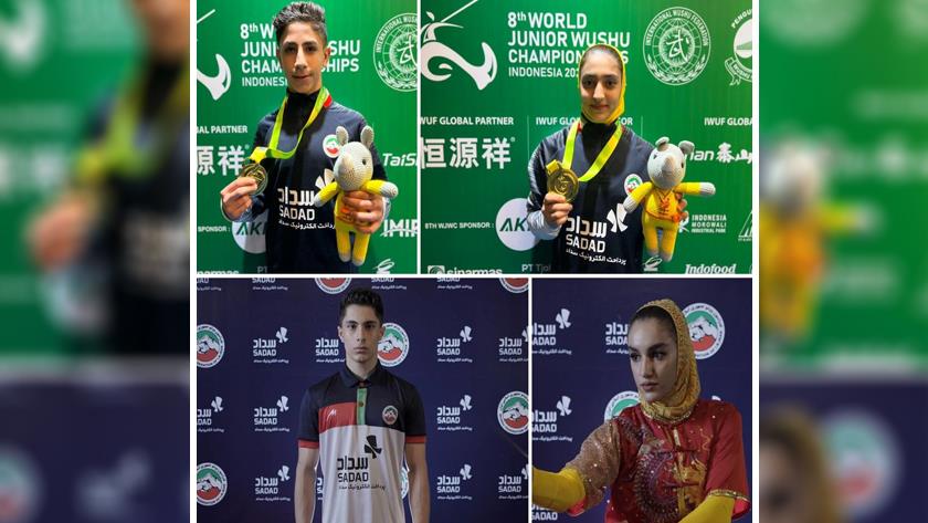 Iranpress: Iranian wushu players bag 4 medals in 2022 C