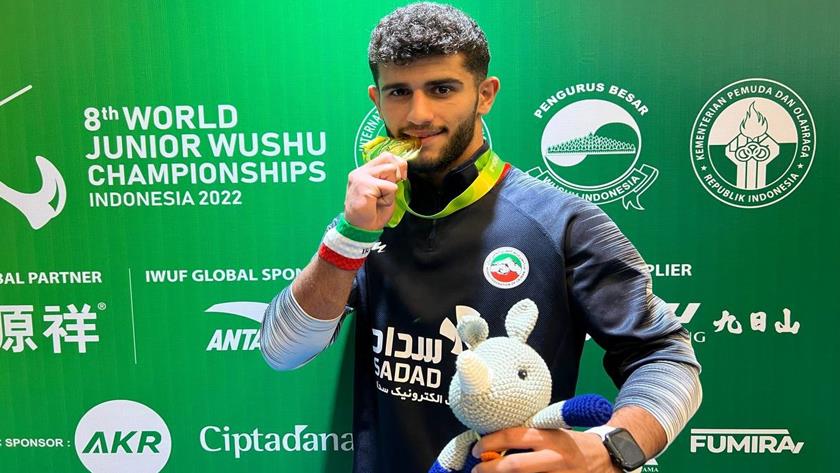 Iranpress: Iranian fighter crowned champion at 8th World Junior Wushu Championships