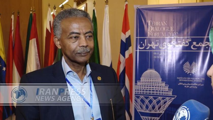 Iranpress: Dialogue for peace, reason of being in Tehran Dialogue 2020: Ethiopian researcher