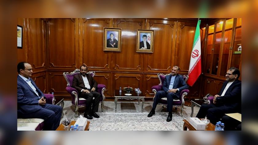 Iranpress: Yemeni top negotiator meets Iran