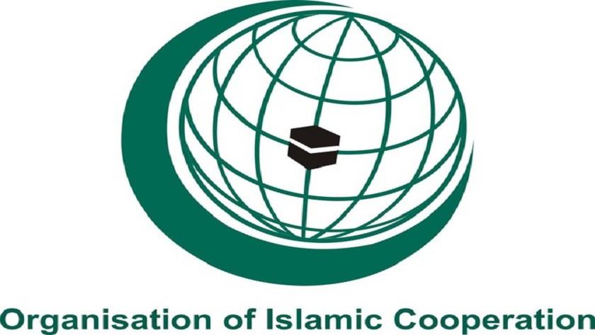 Iranpress: Organisation of Islamic Cooperation welcomes UN resolution on Palestine