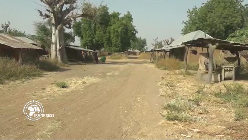 Iranpress: Communities desert in Nigeria after bandits kill 20, burn houses