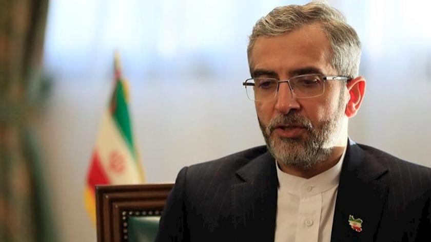 Iranpress: Iran urges its logical positions in nuclear talks: Chief nuclear negotiator