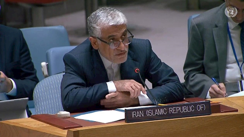 Iranpress: Envoy warns against Israel