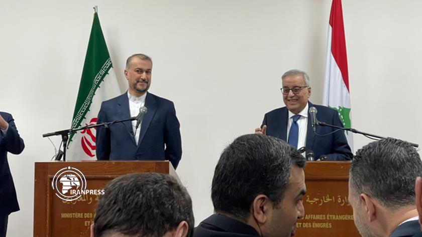 Iranpress: FM : Iran is ready to build power plant in Lebanon