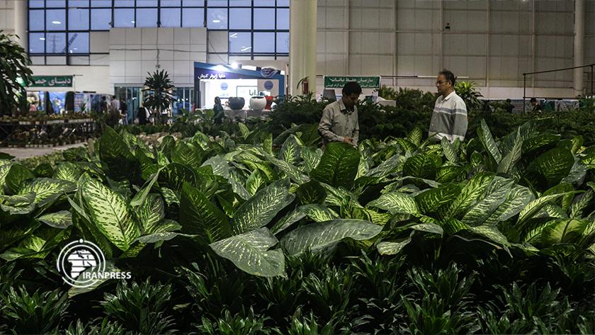 Iranpress: Tourists visit flower, plant exhibition of Iran