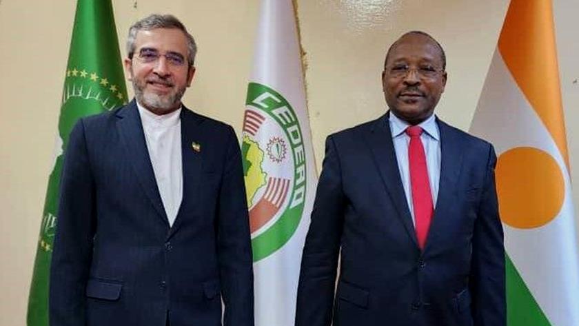 Iranpress: Iran, Niger confer on strengthening ties