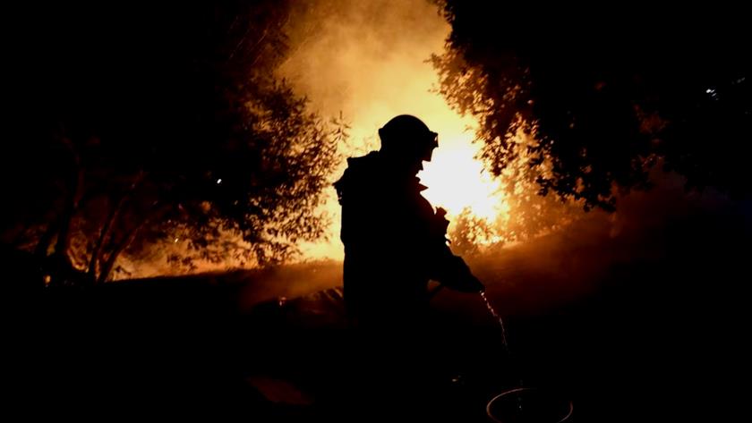 Iranpress: Chile wildfires consume over 750 hectares threatening forests, farmland