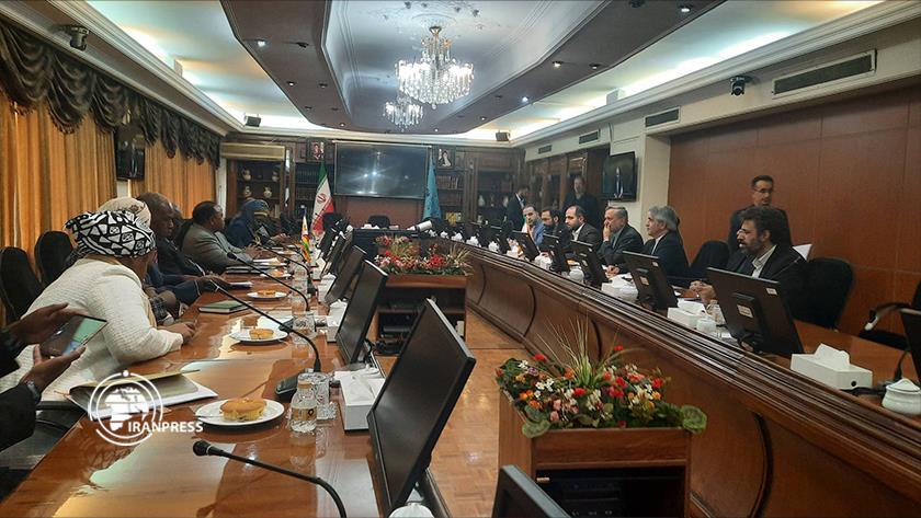 Iranpress: Iran, Zimbabwe confer on expansion of ties 
