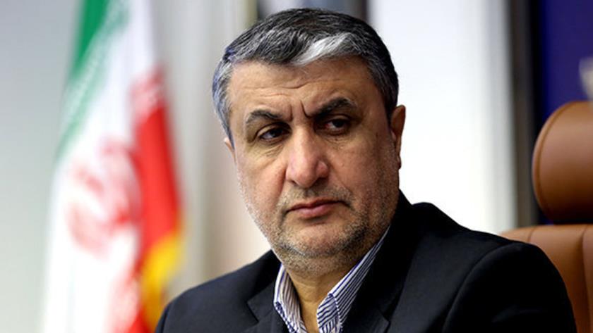 Iranpress: Iran has obtained entire nuclear process: AEOI Head