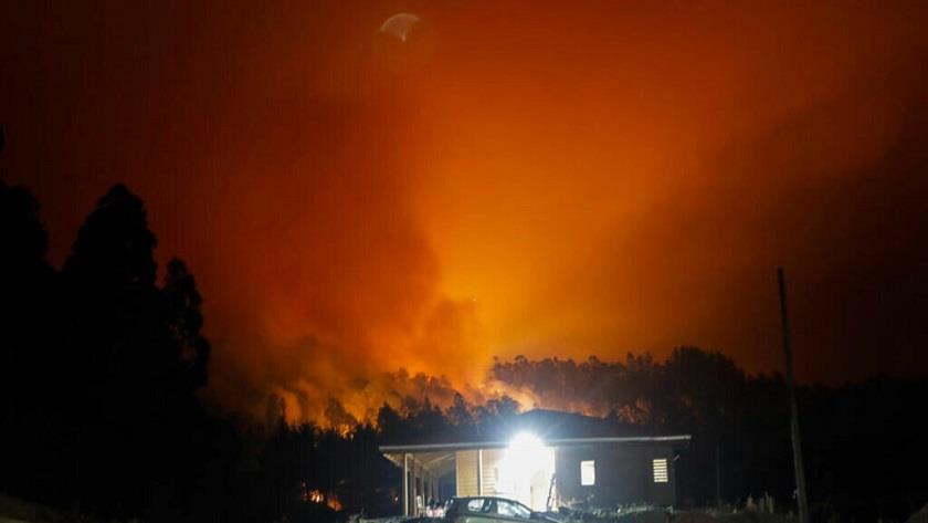 Iranpress: Chile wildfires: Death toll rises to at least 24 amid growing balze